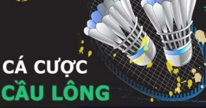 Bí Quyết Chơi Cá Cược Cầu Lông Tại FUN88: Hành Trang Cho Người Mới Bắt Đầu